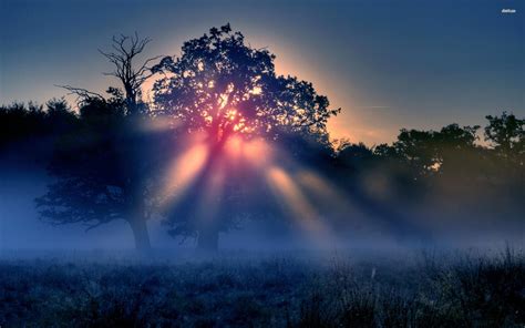 Misty Morning Wallpapers - Wallpaper Cave