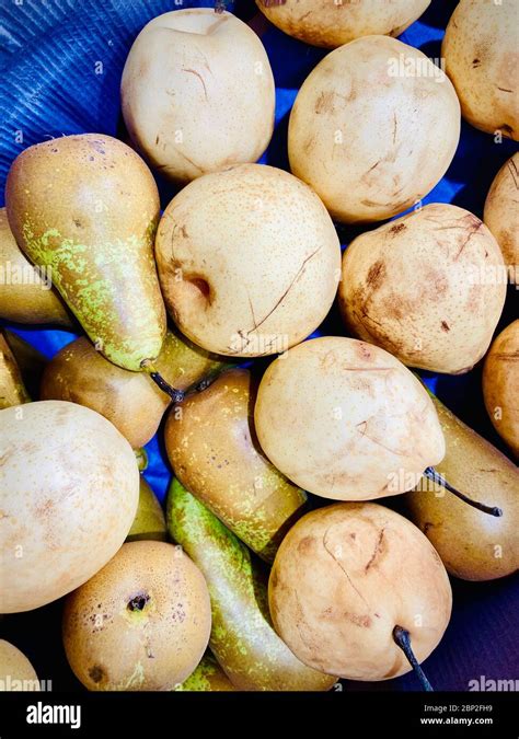 close   food stock photo alamy