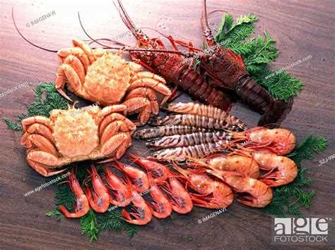 Fishery Products, Stock Photo, Picture And Royalty Free Image. Pic. SZJ ...