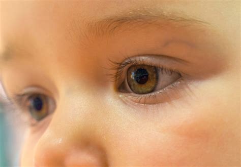Baby Eyes | Copyright-free photo (by M. Vorel) | LibreShot