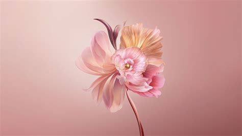 Digital Flowers Wallpapers - 4k, HD Backgrounds on WallpaperBat