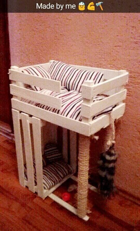faca voce mesmo caminha  gatos feita  caixotes facebook