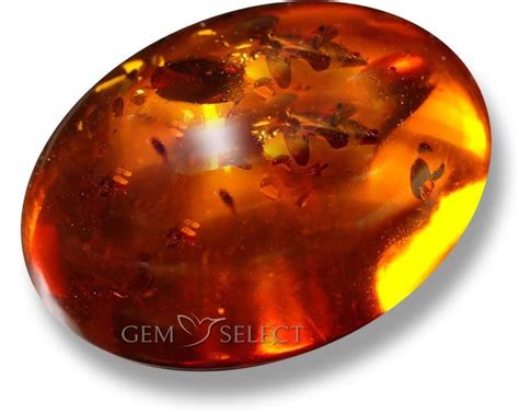 Amber Gemstone Information - GemSelect