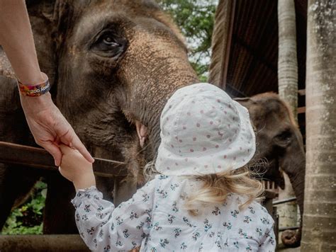 10 Fun and Educational Travel Destinations for Kids