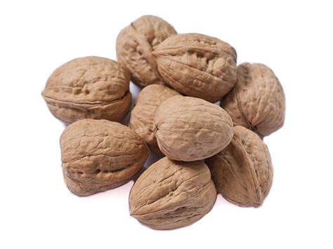 nueces