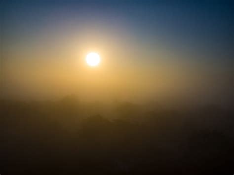 White Tuesday – American Loon