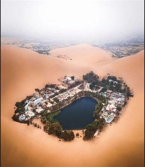 An oasis in the desert of Peru : r/pics