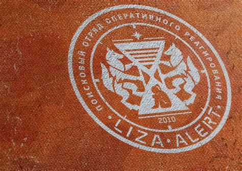 Liza Alert on Behance