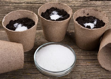 growing medium  martha brugger blog