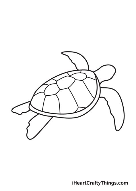 Sea Turtle Drawing — How To Draw A Sea Turtle Step By Step