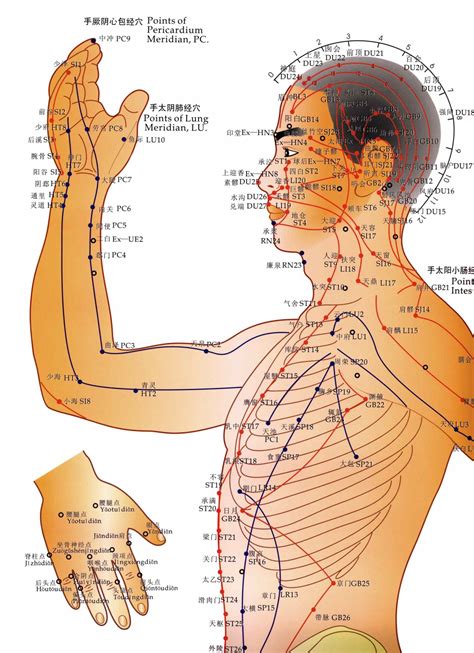 Acupuncture Overview – FullCircle Acupuncture HealthCentre