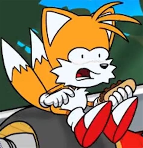 Tails meme | Sonic the Hedgehog! Amino