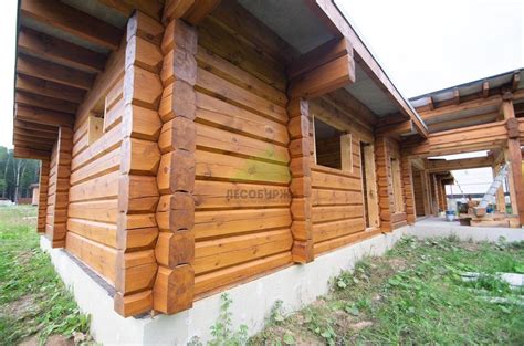 Герметик для торцов сруба Renner AY M422 в Москве - ЛесоБиржа МСК