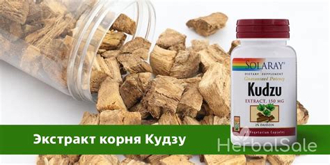 Кудзу (Пуэрария) — Польза Экстракта Корня и его Применение