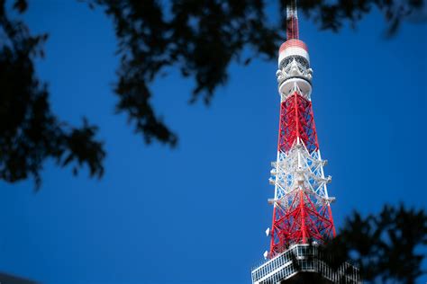 Little Japan Getting Bbc Pictures | Download Free Images on Unsplash