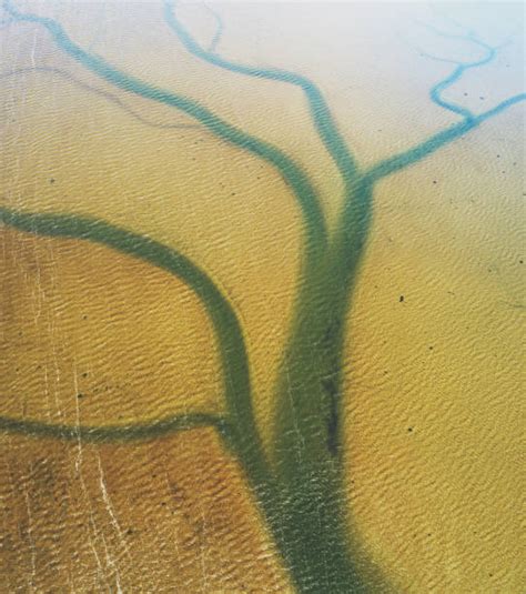 river channel stock  pictures royalty  images istock