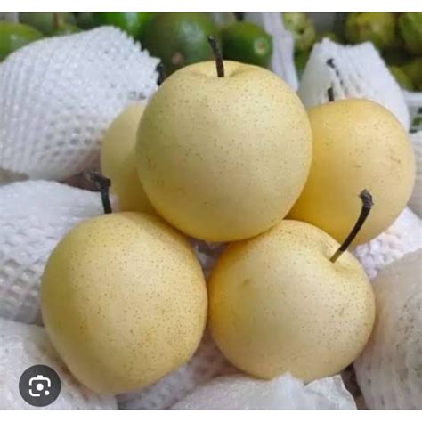 jual buah pear pir  kg shopee indonesia