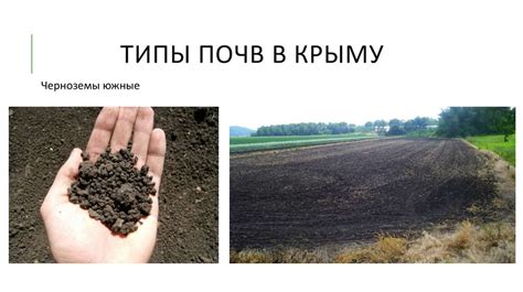 Почвы Крыма - презентация онлайн