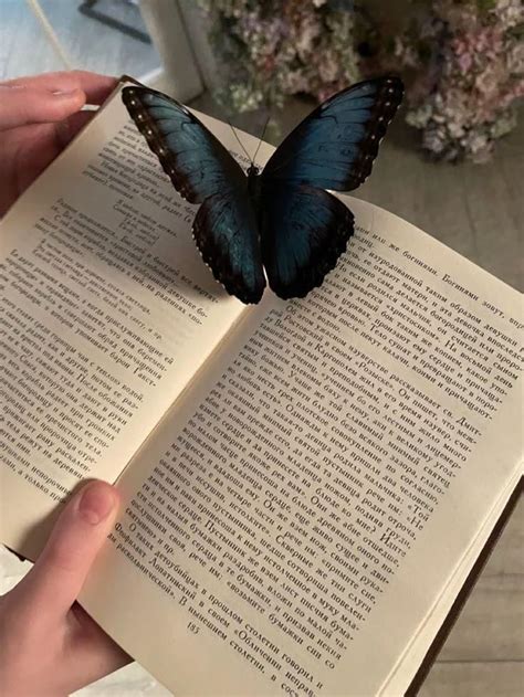 Бабочка на книге 🦋📖 | Цветочные фоны, Фотографии профиля, Обои