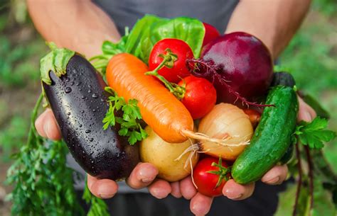 vegetables  grow   greenhouse agriculture guruji