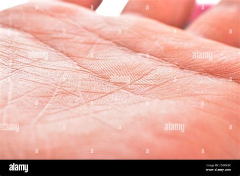 closeup  hand palm texture stock photo alamy