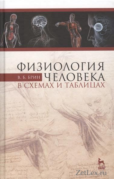 Физиология человека в схемах и таблицах