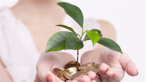 investors   emerging fund managers  ventures