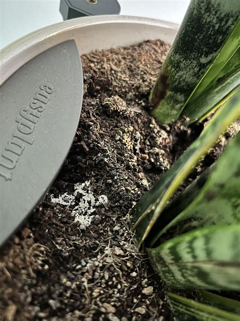 adriana chechik on Twitter: "What’s going on here? https://t.co