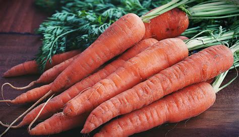 carrot      carrot stock  hd images