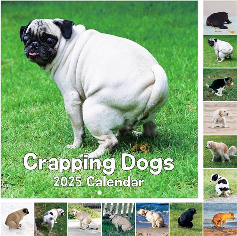 Amazon.com : 2025 Calendar - Gag Gifts, Pooping Dogs Calendar 2025, Jan