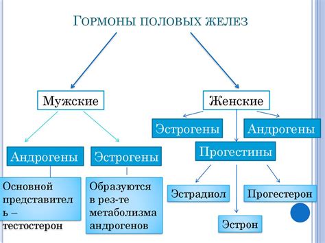 Половые железы - презентация онлайн