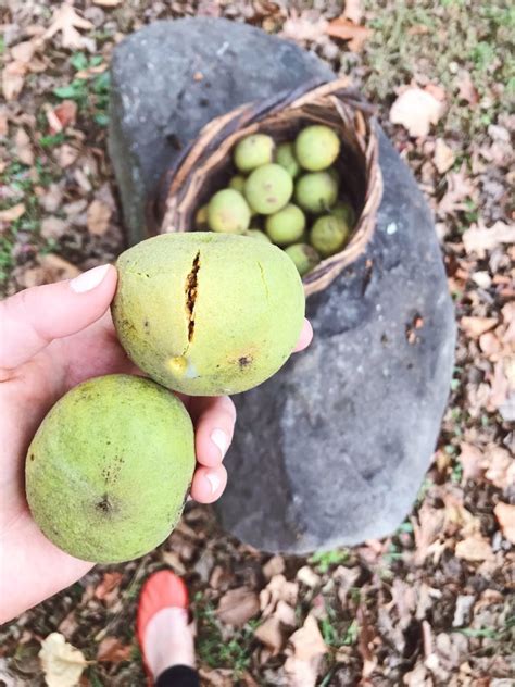 how to clean walnuts