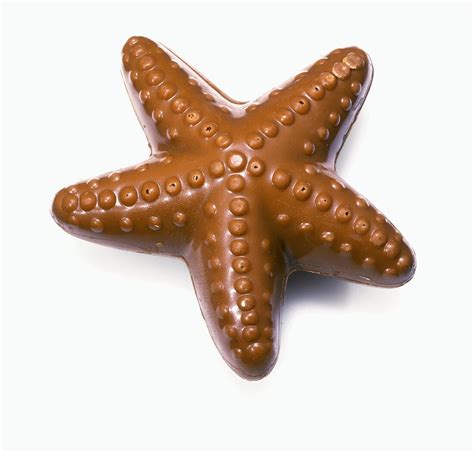 chocolate starfish license images  stockfood