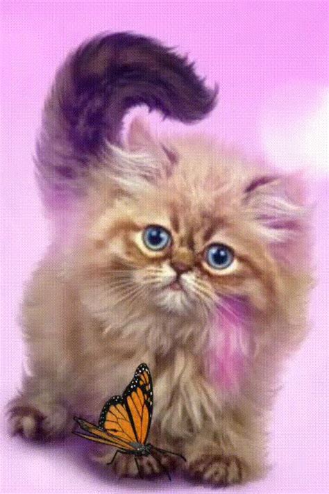 Котёночек | Милые котики, Кошачьи принты, Самые милые животные