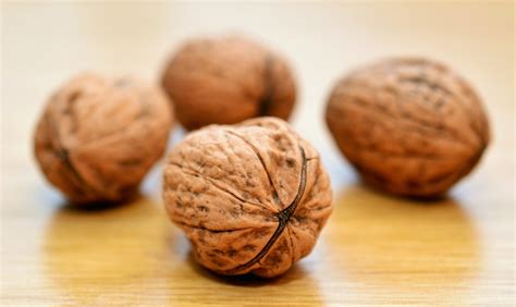 Nueces: propiedades y beneficios para nuestra salud - TuInfoSalud