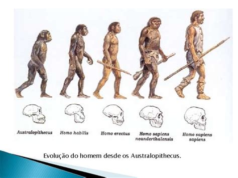 Podemos Esperar Que Evoluindo De Ancestrais - Foram encontrados os mais antigos fsseis de ancestrais