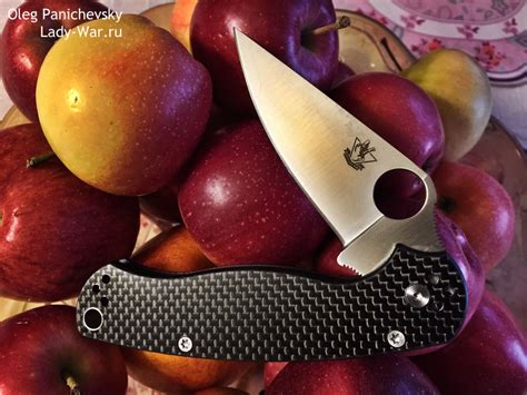 Складной нож SteelClaw Fighter (Боец) 2 Carbon (Карбон) купить в Москве ...