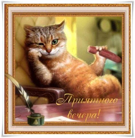 Добрый вечер картинки прикольные смешные