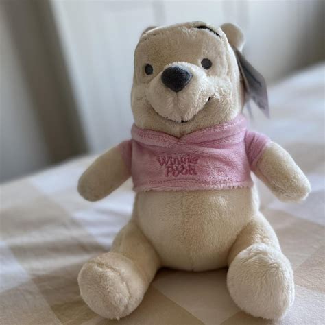 Winnie the Pooh teddybear. Never used. Buy as a... - Depop