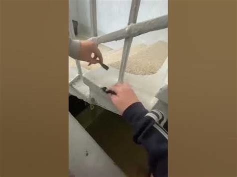 Стонайлонд - YouTube