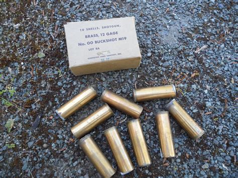 Free photo: Shotgun shells - Ammo, Ammunition, Bullets - Free Download ...