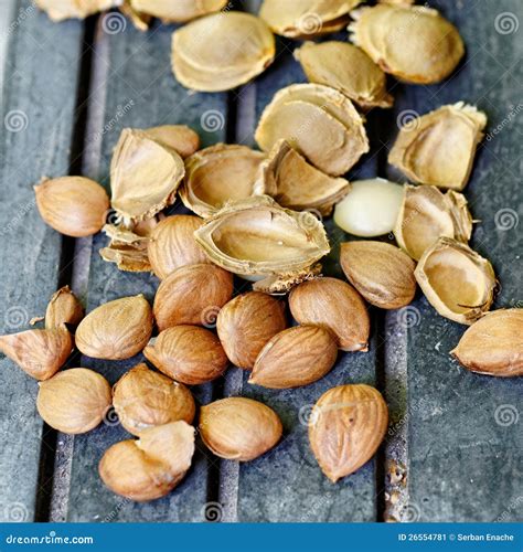 Apricot pits stock image. Image of cyanide, armeniaca - 26554781