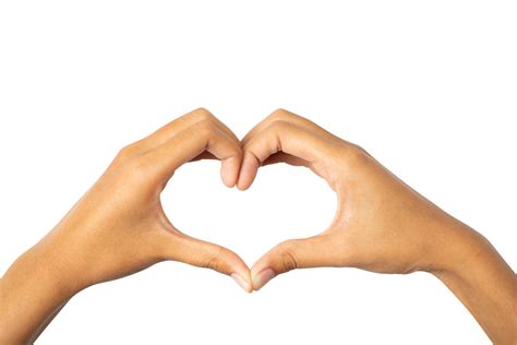 heart shape   hands  png