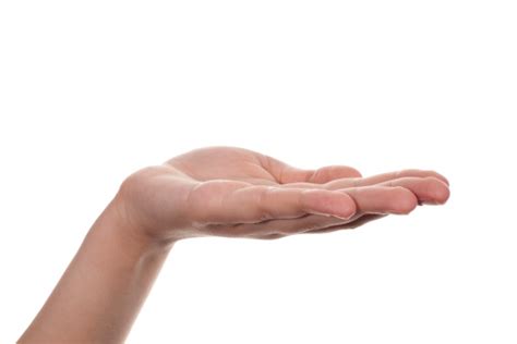 open palm pictures   images  unsplash