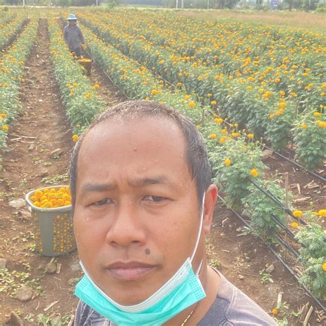 Comprehensive look at what the bigblueinteractive com corner forum is 5