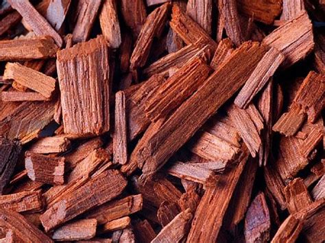 Red Sandalwood: Know its Benefits, Side Effects, and Uses