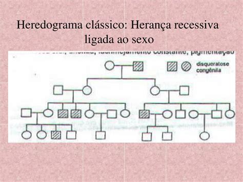 Herança Restrita Ao Sexo - 6