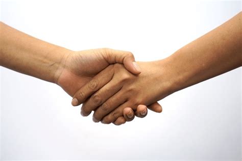 checking hand check images stock   objects vectors