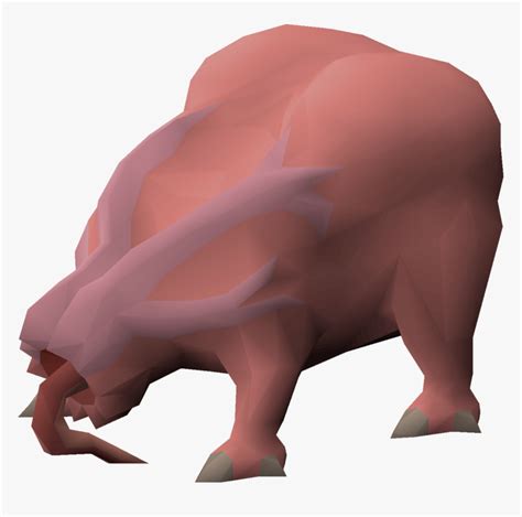Domestic Pig, HD Png Download , Transparent Png Image - PNGitem
