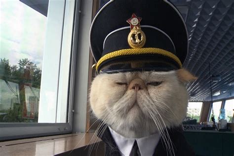 Кот Матрос: tanjand — LiveJournal